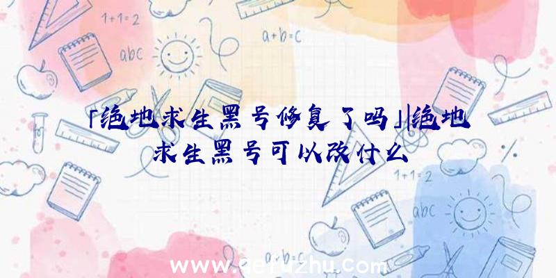 「绝地求生黑号修复了吗」|绝地求生黑号可以改什么